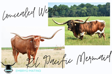 Concealed Weapon x RC Pacific Mermaid Frozen Embry