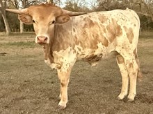 Kid's Summer Night JH