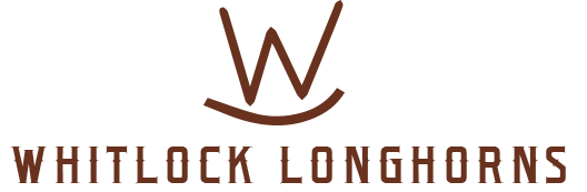 Whitlock Longhorns Logo